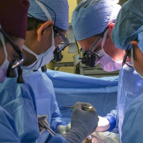 ΗΠΑ: Η πρώτη μεταμόσχευση νεφρού γενετικά τροποποιημένου χοίρου σε ζώντα ασθενή