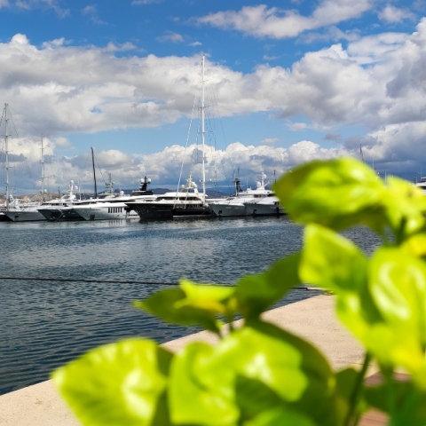 Γενικά αίθριος θα είναι ο καιρός σήμερα Σάββατο στο μεγαλύτερο μέρος της χώρας