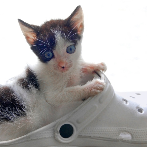 Εορτολόγιο: Σήμερα 23 Μαρτίου 2024 γιορτάζει…