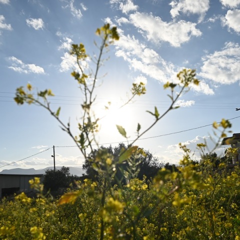 Καλός και ζεστός ο καιρός την Κυριακή - Έως 21 βαθμούς στην Αττική 