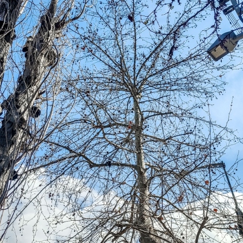 Γενικά αίθριος θα είναι ο καιρός σήμερα Παρασκευή, με αραιές νεφώσεις από το απόγευμα