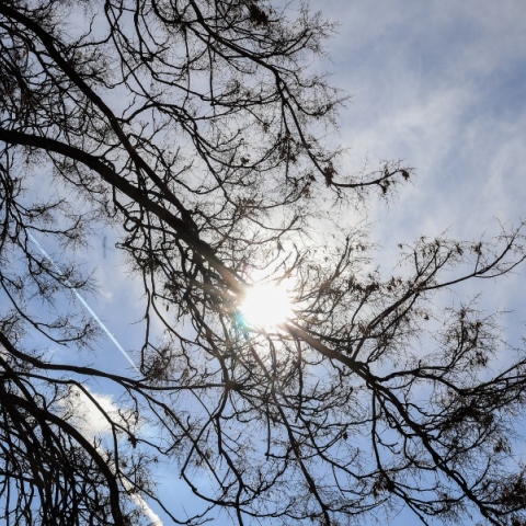 Γενικά αίθριος θα είναι ο καιρός αύριο Παρασκευή, με αραιές νεφώσεις από το απόγευμα 