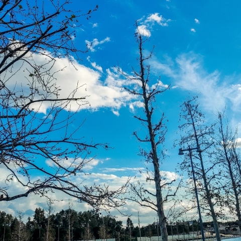 Γενικά αίθριος θα είναι καιρός αύριο Σάββατο με αραιές νεφώσεις κατά περιόδους