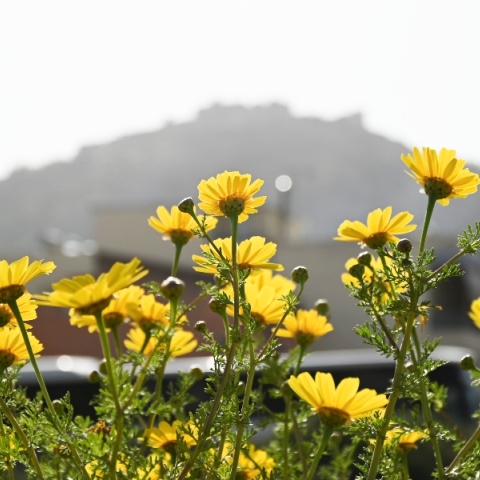 Γενικά αίθριος θα είναι ο καιρός αύριο Κυριακή, με αραιές νεφώσεις κατά περιόδους