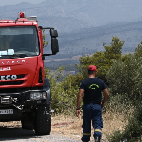 Πυρκαγιά σε δασική έκταση στην Κατερίνη