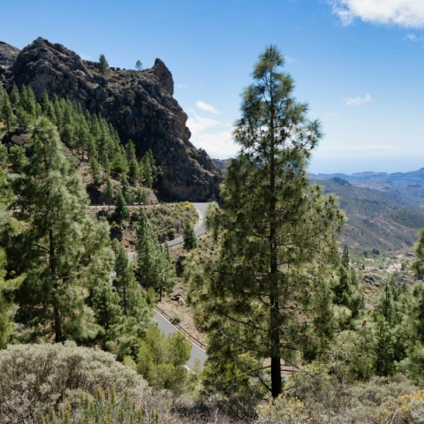 Γενικά αίθριος θα είναι ο καιρός σήμερα Πέμπτη με λίγες νεφώσεις