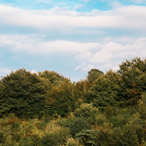 Γενικά αίθριος θα είναι ο καιρός σήμερα Παρασκευή με πιθανότητα τοπικών βροχών