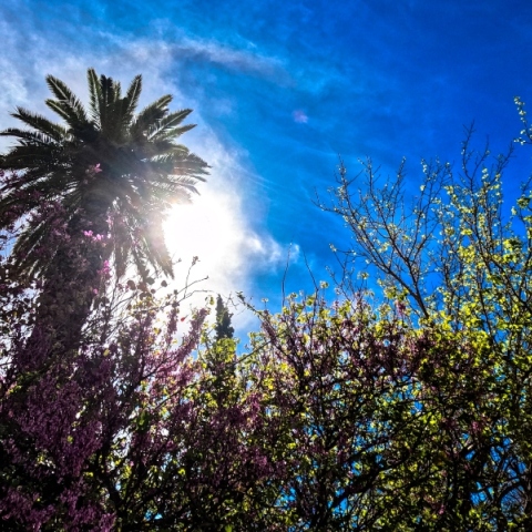 Αίθριος ο καιρός αύριο Σάββατο με λίγες νεφώσεις - Χαλάει από την Κυριακή