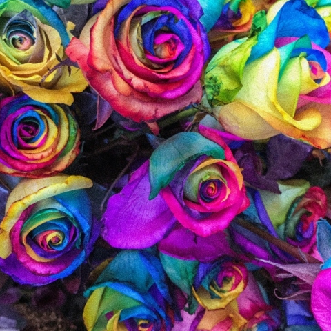 Εορτολόγιο: Σήμερα 6 Απριλίου 2024 γιορτάζει...