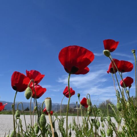 Kαιρός: Έφτασε τους 30 °C η θερμοκρασία στα ηπειρωτικά