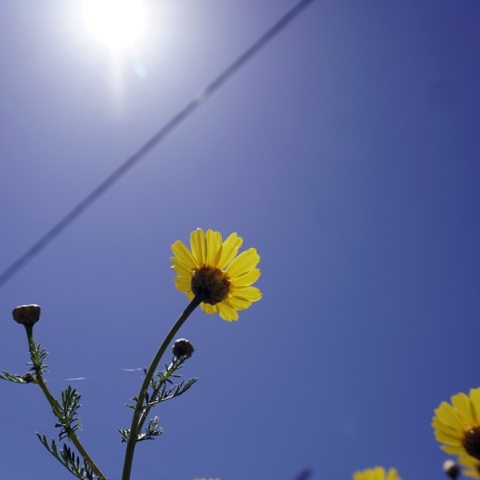 Συνεχίζονται την Πέμπτη οι υψηλές θερμοκρασίες στη χώρα - Πού θα χτυπήσει «κόκκινο» ο υδράργυρος 