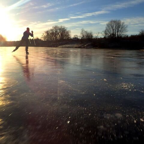 Σουηδία: Η πιο πρώιμη «αρχή του καλοκαιριού» που έχει καταγραφεί