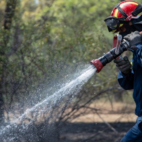 Πυροσβέστης επί των έργω 