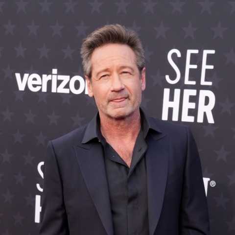 Ο David Duchovny ορθιος με σκούρο κουστούμι