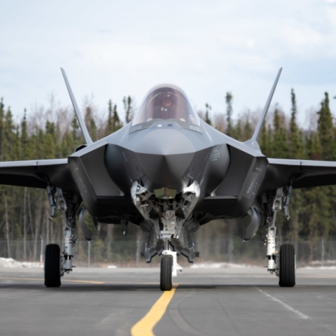 F-35 γκρι σε κοντινό μπροστινό πλάνο, προσγειωμένο. Από πίσω υπάρχουν δέντρα