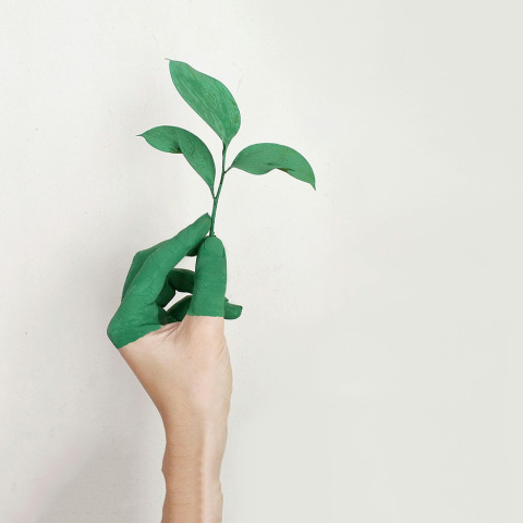 Οι άξονες της ΔΕΗ για κοινωνική, περιβαλλοντική και οικονομική βιωσιμότητα (ESG)