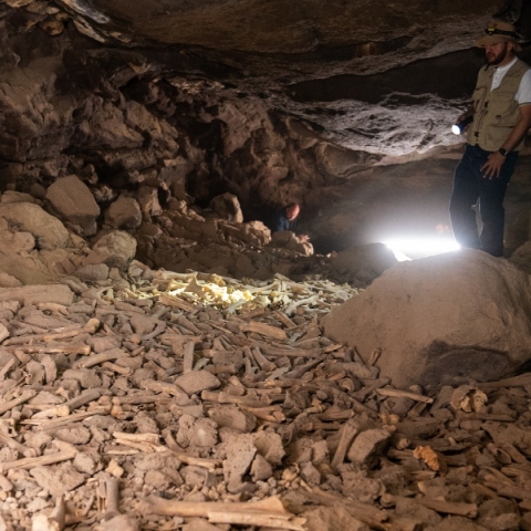 Αρχαιολόγος σε σπηλιά εξετάζει οστά