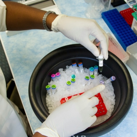 Ιατρός κρατάει μπουκαλάκια με δείγματα πάνω από ένα δοχεία με πάγο