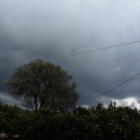 Πράσινα δέντρα - Σύννεφα και στο βάθος βουνά