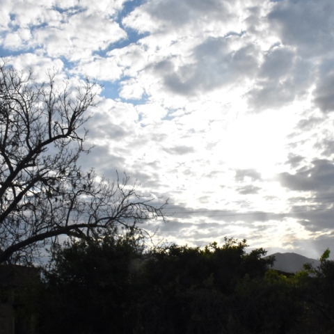Σύννεφα και δέντρα