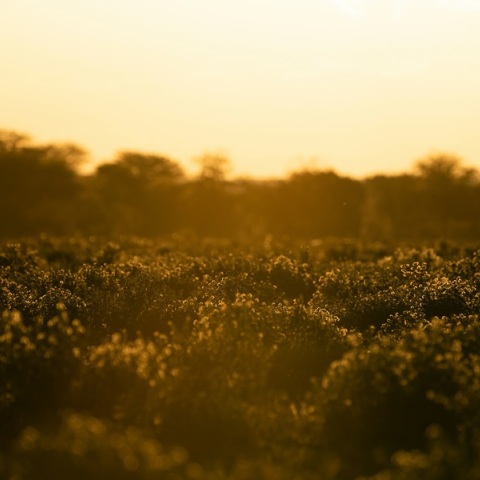 Απειλητικά ανεβαίνει η θερμοκρασία χρόνο με το χρόνο στην Ευρώπη