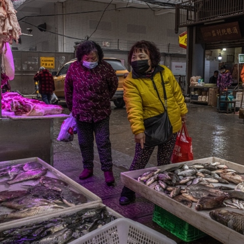 Δύο γυναίκες από Κίνα κοιτάζουν τελάρα με ψάρια