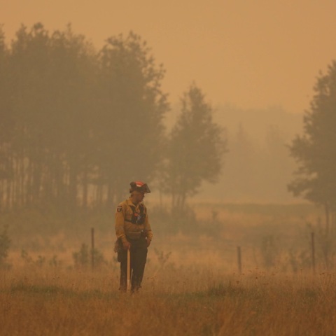 Οι καταστροφικές πυρκαγιές στον Καναδά 