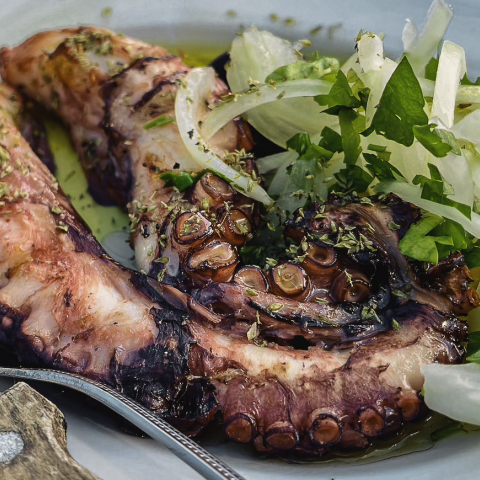 Αγκυροβόλι: Για φρέσκο ψάρι και ουζάρες στον Ποταμό της Επανομής 