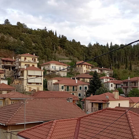 Ταξίδι στη ΒΔ Πελοπόννησο και στα χωριά της όπως τα Τρόπαια, η Δάφνη και αλλά και τα γύρω μέρη του ποταμού Λάδωνα.