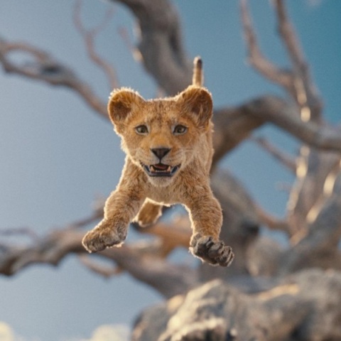 Ο Βασιλιάς των Λιονταριών επιστρέφει - Κυκλοφόρησε το trailer της live-action ταινίας της Disney 