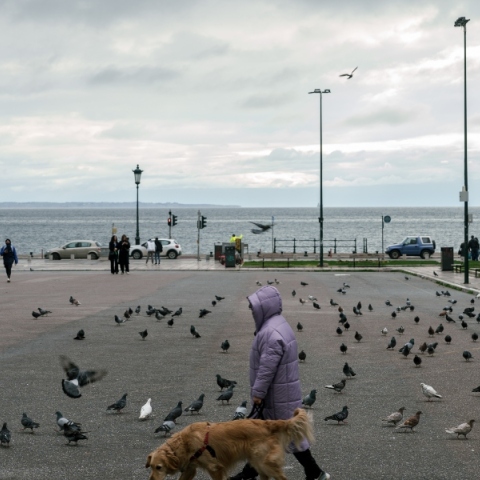 Γυναικα με σκυλο σε παραλια