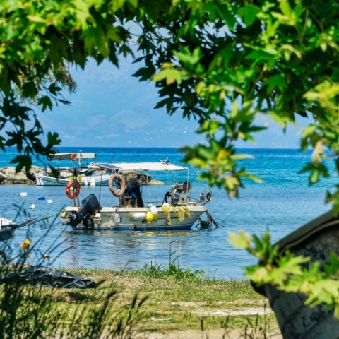 βάρκες, θαλασσα, πρασιναδα, δεντρα