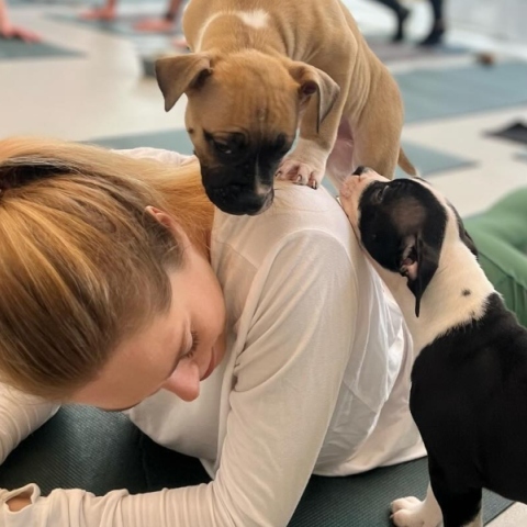 γυναικα, 2 κουταβια