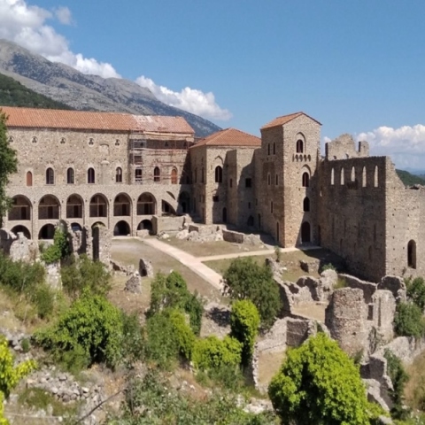 καστρο, δεντρα