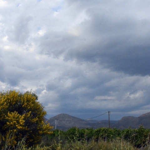 βουνα, ουρανός, δάσος, συννεφα