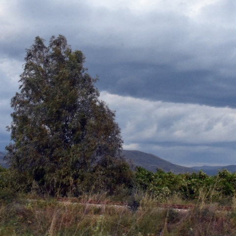 Βουνά, σύννεφα, δέντρα 