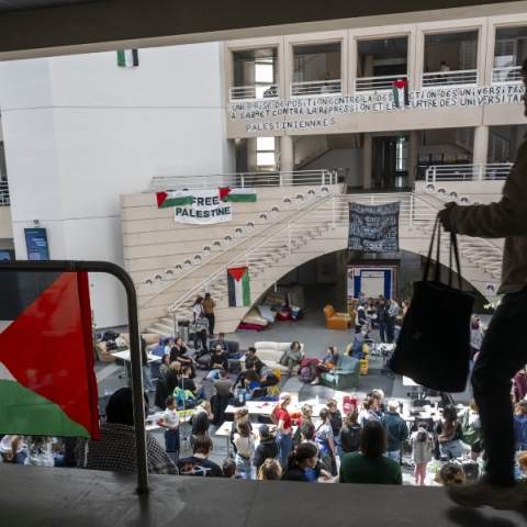 πανεπιστημιο, φοιτητες, διαδηλωτες, σημαιες