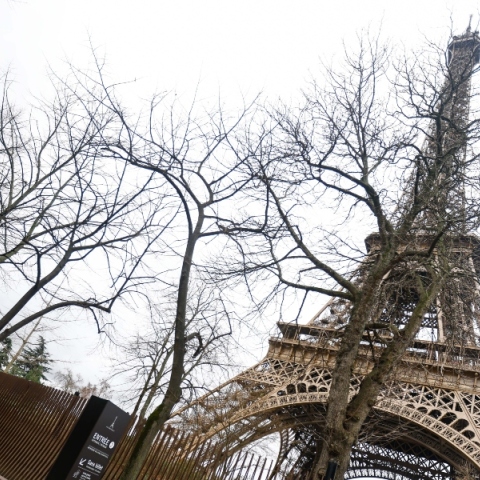 πυργος αιφελ, δρομος, γρασιδι, φραχτης