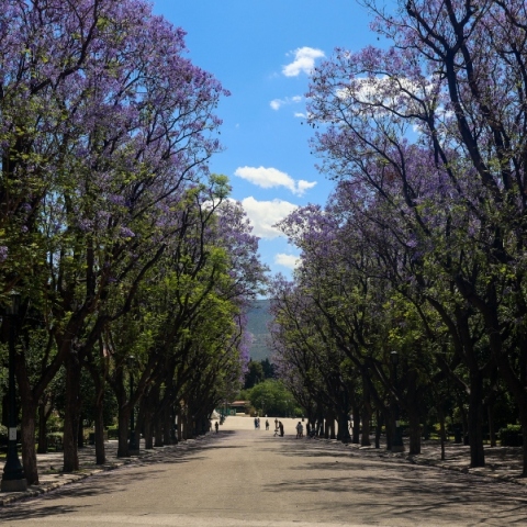 Καιρός σήμερα: Ανεβαίνει η θερμοκρασία την Παρασκευή
