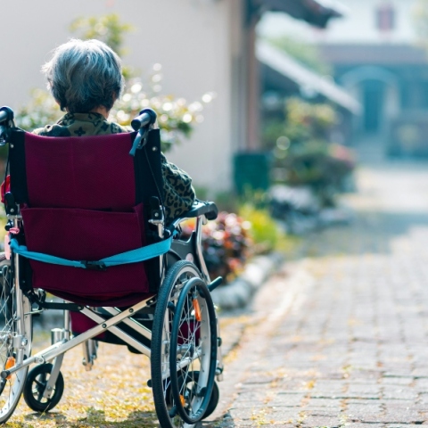 γιαγια, αναπηρικο καροτσακι