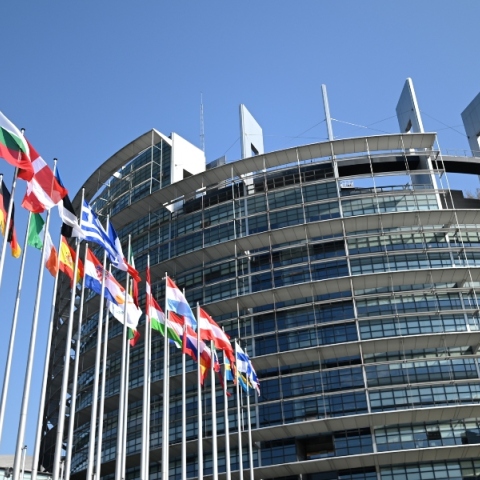 Το Ευρωπαϊκό Κοινοβούλιο, κτηριο, σημαιες