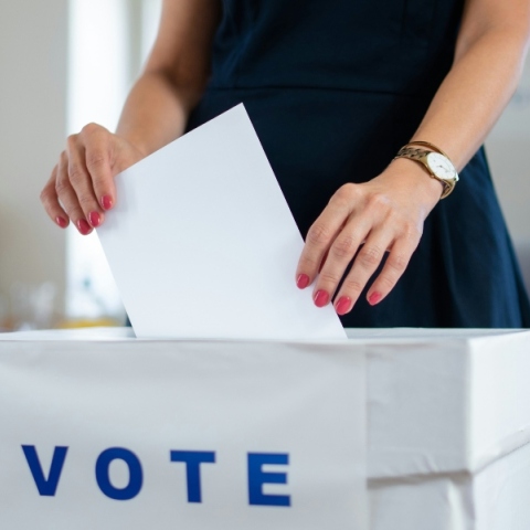 γυναικα ψηφιζει, καλπη, φακελος