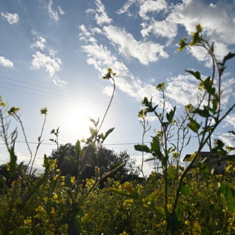 Ηλιοφάνεια 