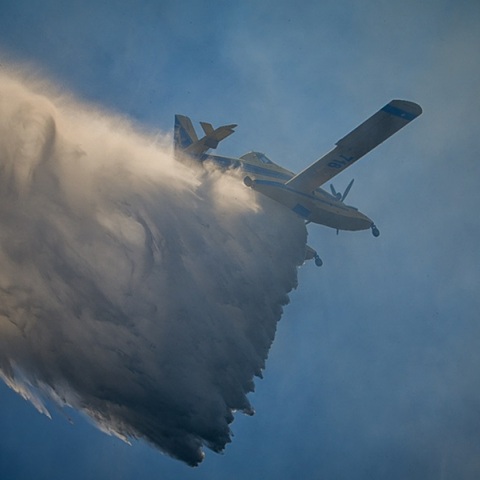Φωτιά στη Βοιωτία 