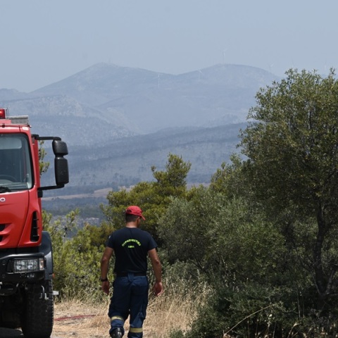 Οριοθετήθηκε η πυρκαγιά σε γεωργική έκταση στην Αλίαρτο Βοιωτίας	