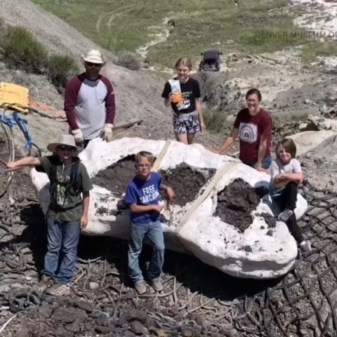 4 παιδια, 2 ενηλικες, Απολίθωμα Τυραννόσαυρου Ρεξ