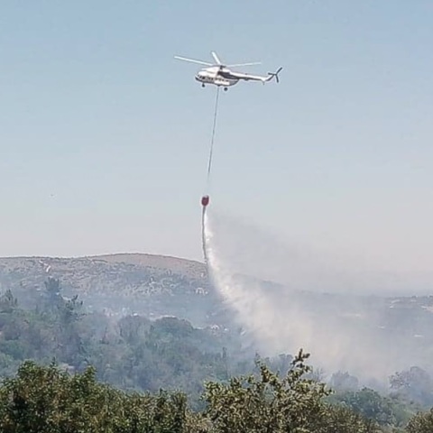 Χωρίς ενεργό μέτωπο η πυρκαγιά σε δασική έκταση στη Χίο	
