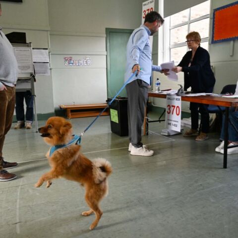 Ευρωεκλογές 2024: Προς δεξιά μετατόπιση το Ευρωκοινοβούλιο