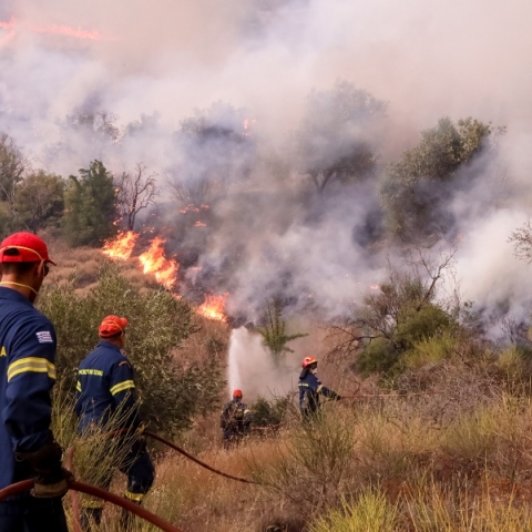 πυροσβεστες, φωτια, δασος