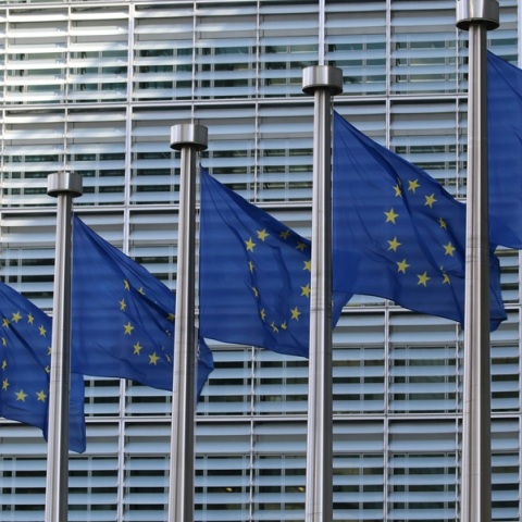 Τι ψηφίσαμε στις Eυρωεκλογές 2024: Το προφίλ των νέων Ευρωβουλευτών